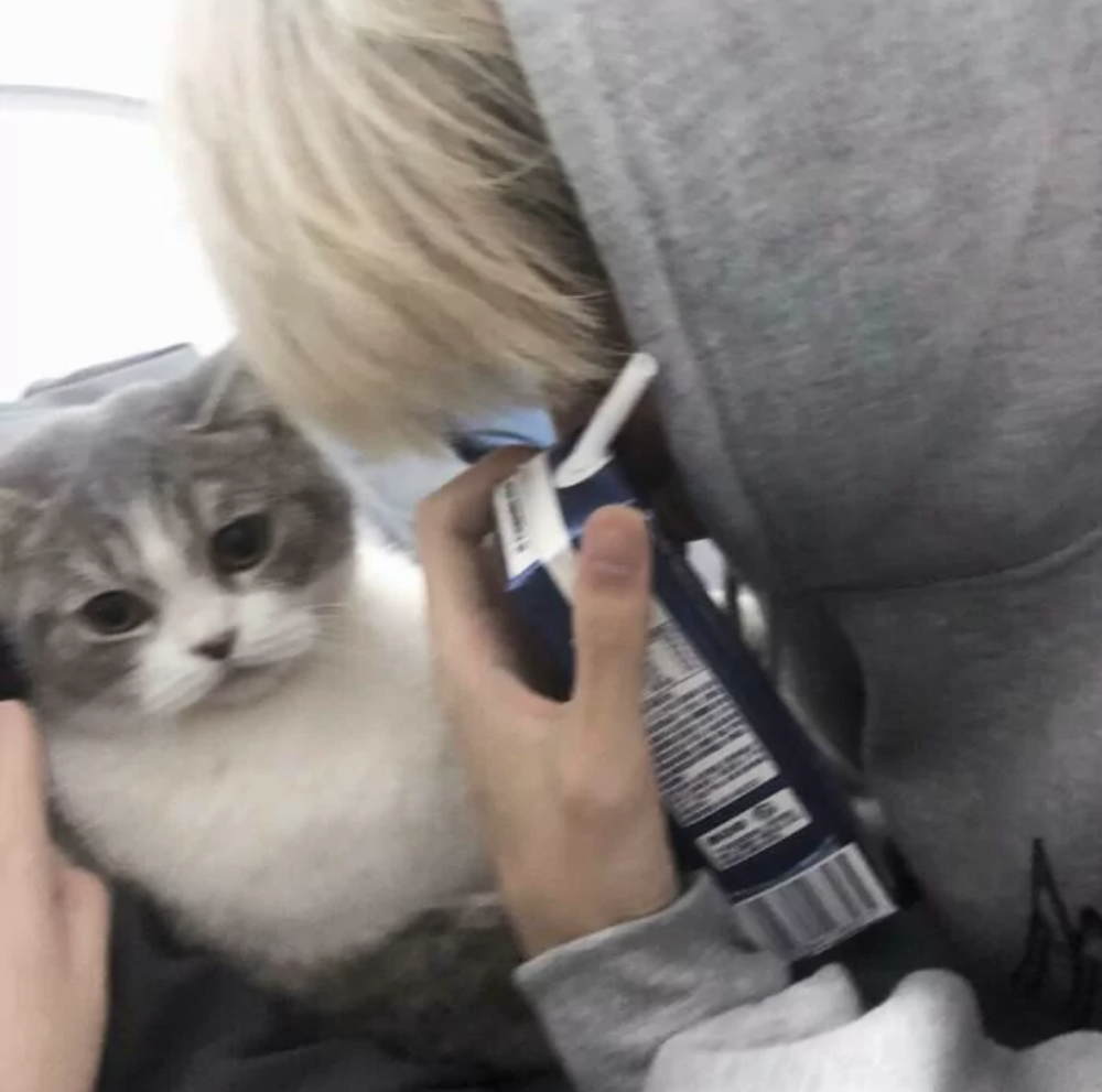 三次元优质男头。