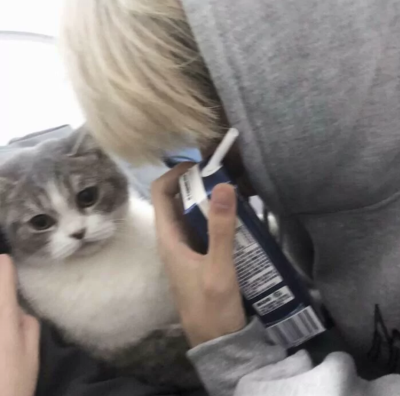 三次元优质男头。