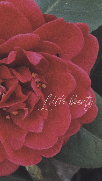 壁纸五连拍 红橙黄绿蓝