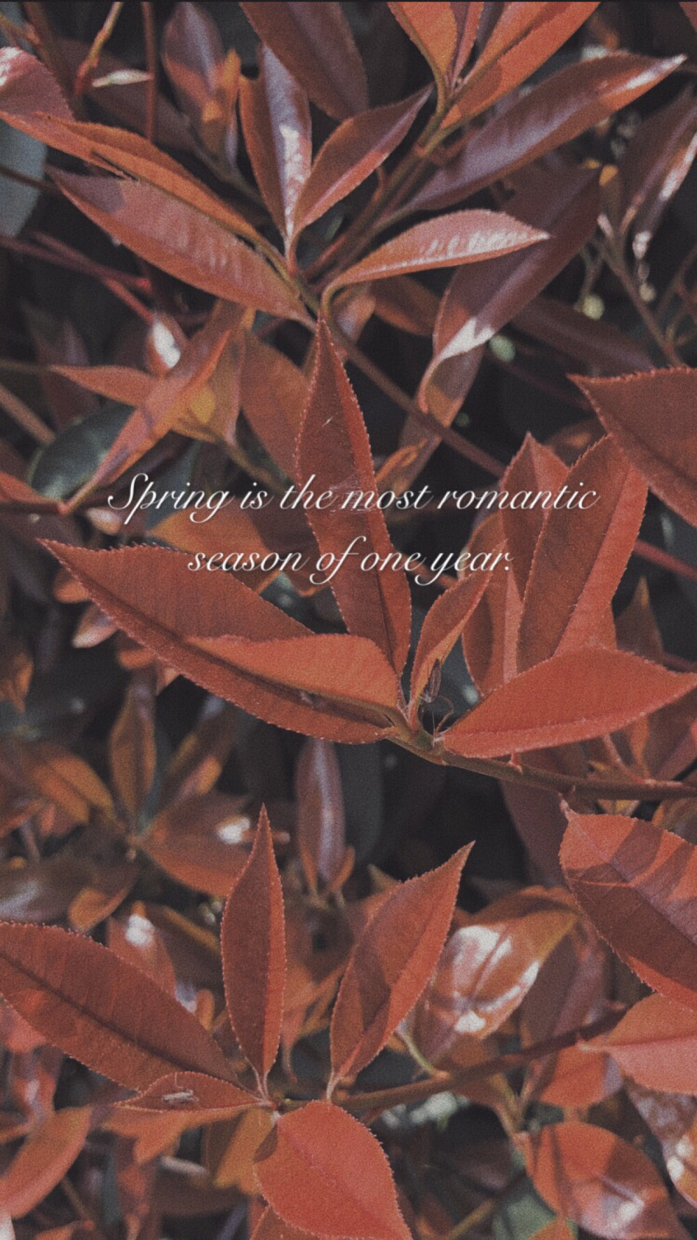 壁纸五连拍 红橙黄绿蓝