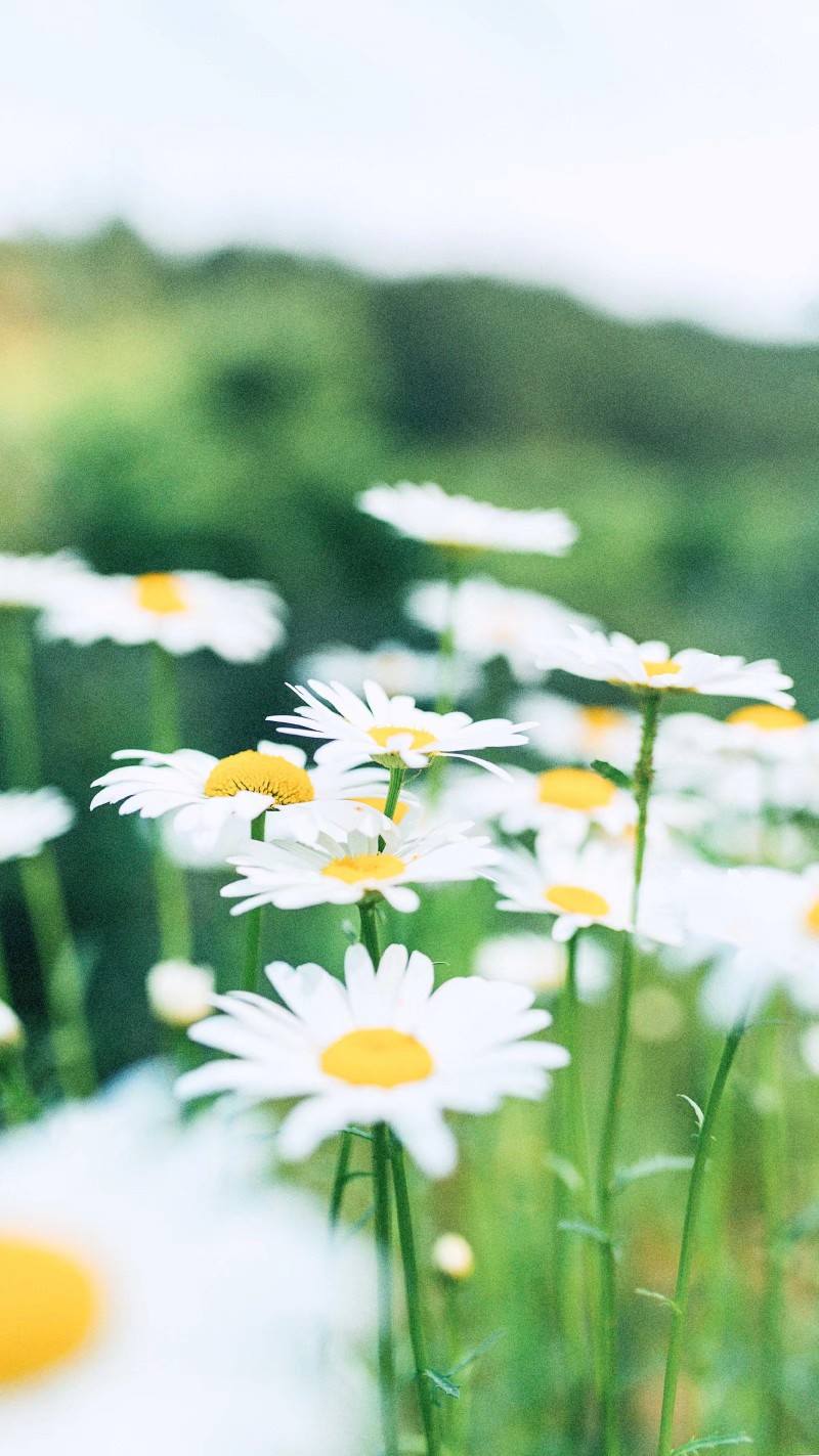 【太阳下山了☀
夜里还有灯打开
你看这世界并不坏】