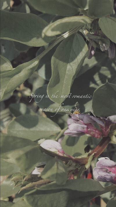 壁纸五连拍 红橙黄绿蓝