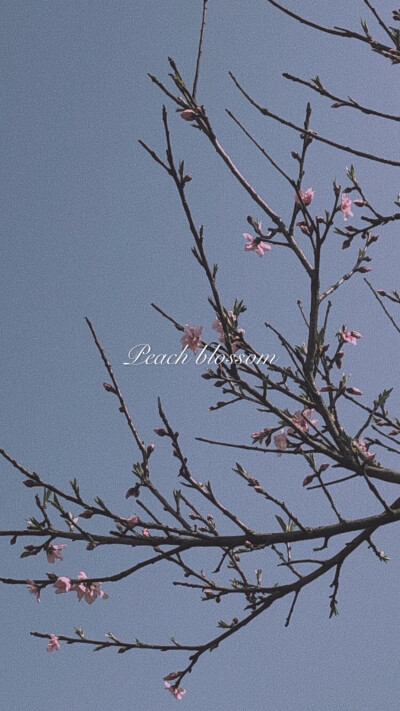 壁纸五连拍 红橙黄绿蓝