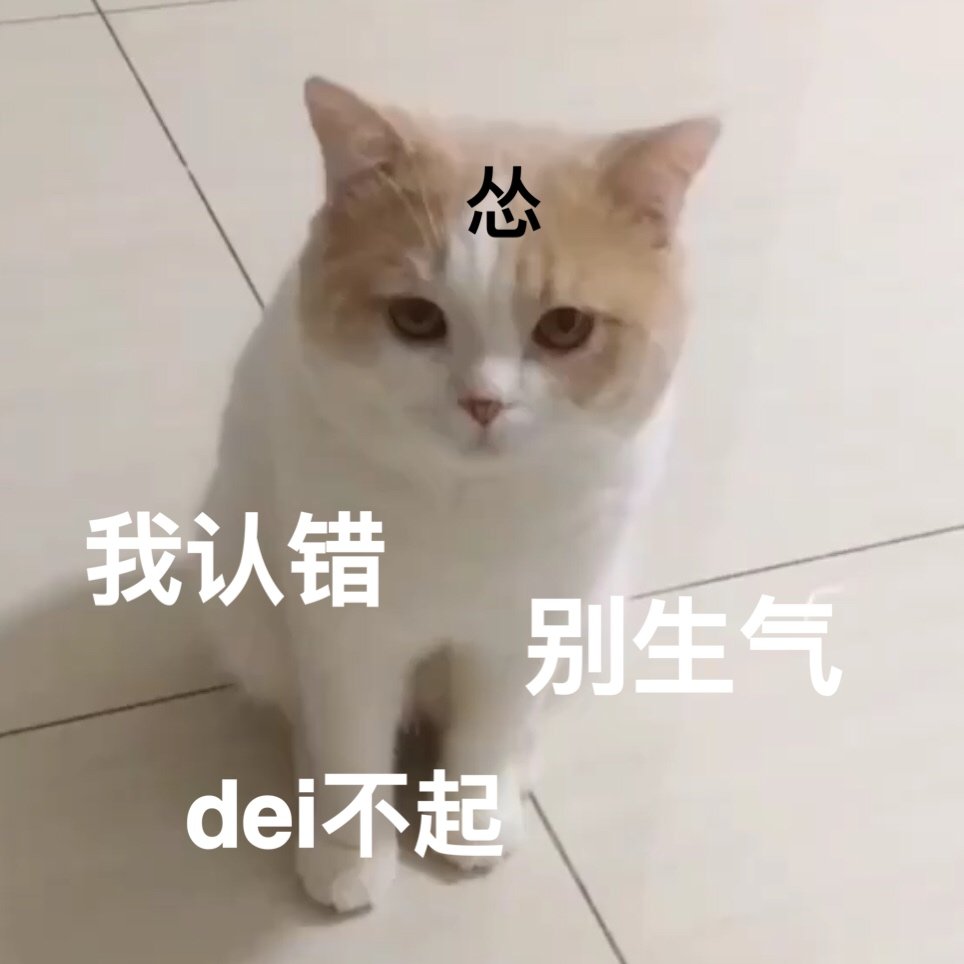 猫表情包