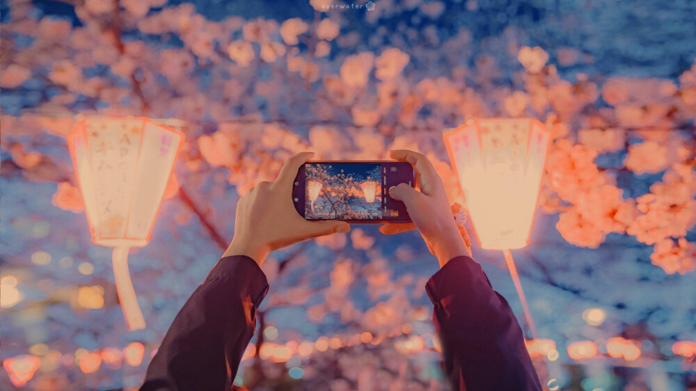 樱花壁纸｜40张
✅原图集：点头像获取
「只愿四月樱花烂漫时
不再封城 像往年那样 」
「千千万万人在樱花树下看樱花
樱花在树下看遍千千万万人」
cr：overwater