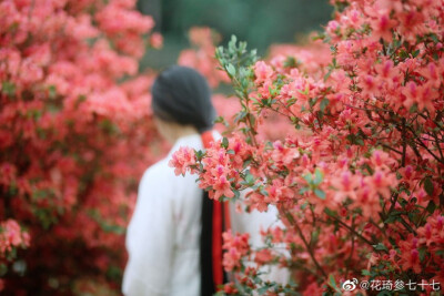 吾家有娇女，皎皎颇白皙。
小字为纨素，口齿自清历。
鬓发覆广额，双耳似连璧。
明朝弄梳台，黛眉类扫迹。
摄影：@花琦参七十七
出镜：@-霖下28度
妆娘/同行：@蓝八月
服装：@有香如故汉服
#广州约拍# #汉服…