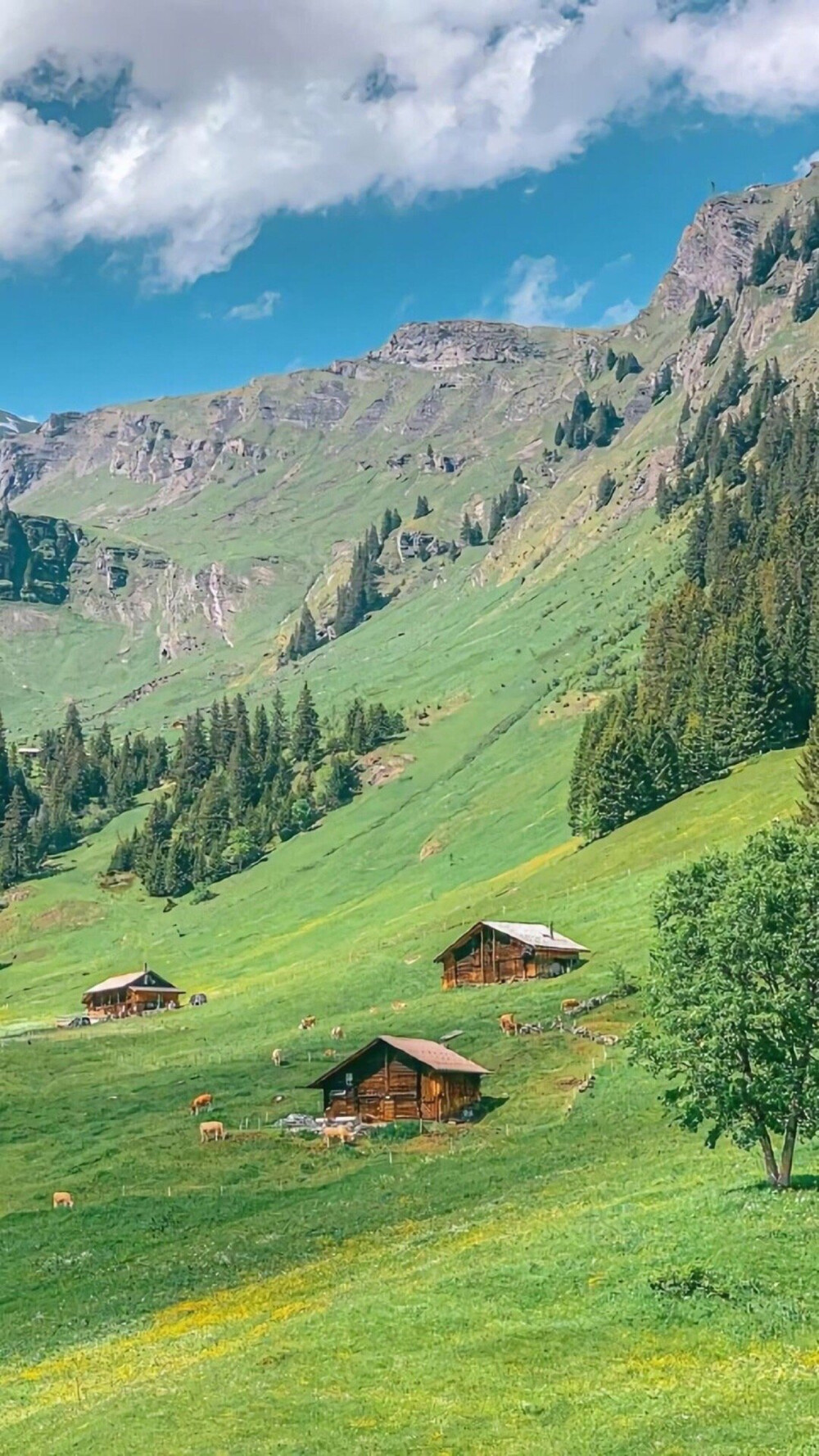 风景壁纸 建筑 天空