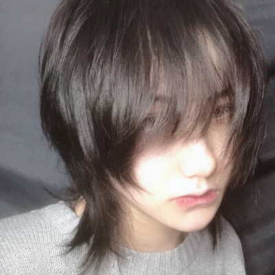 秋鴻