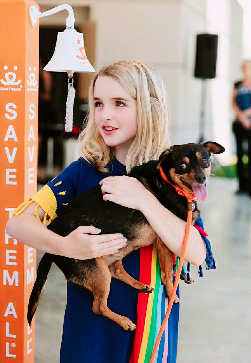 小麦，微博@格兰芬多学者