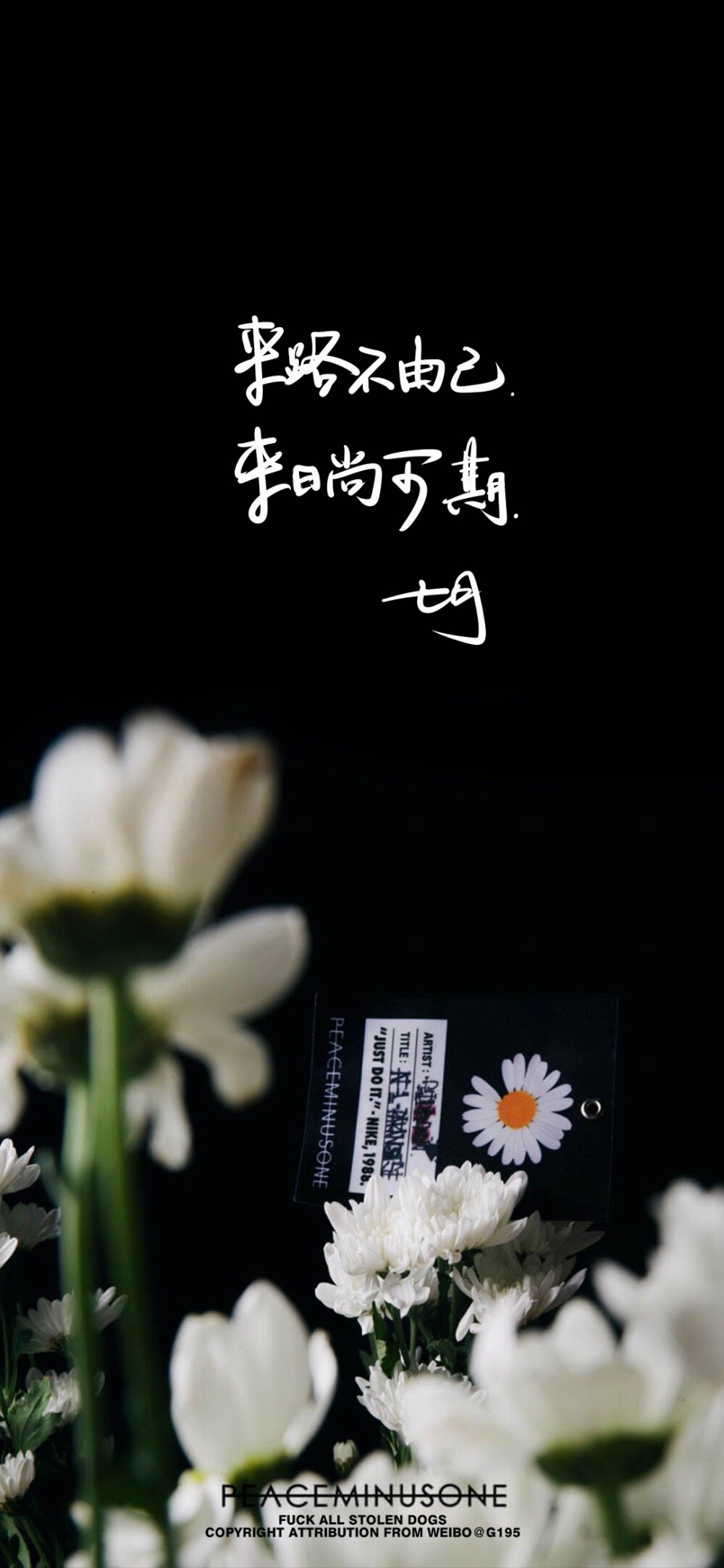 七月手写壁纸 文字壁纸 壁纸素材 文案 句子 封面 黑白