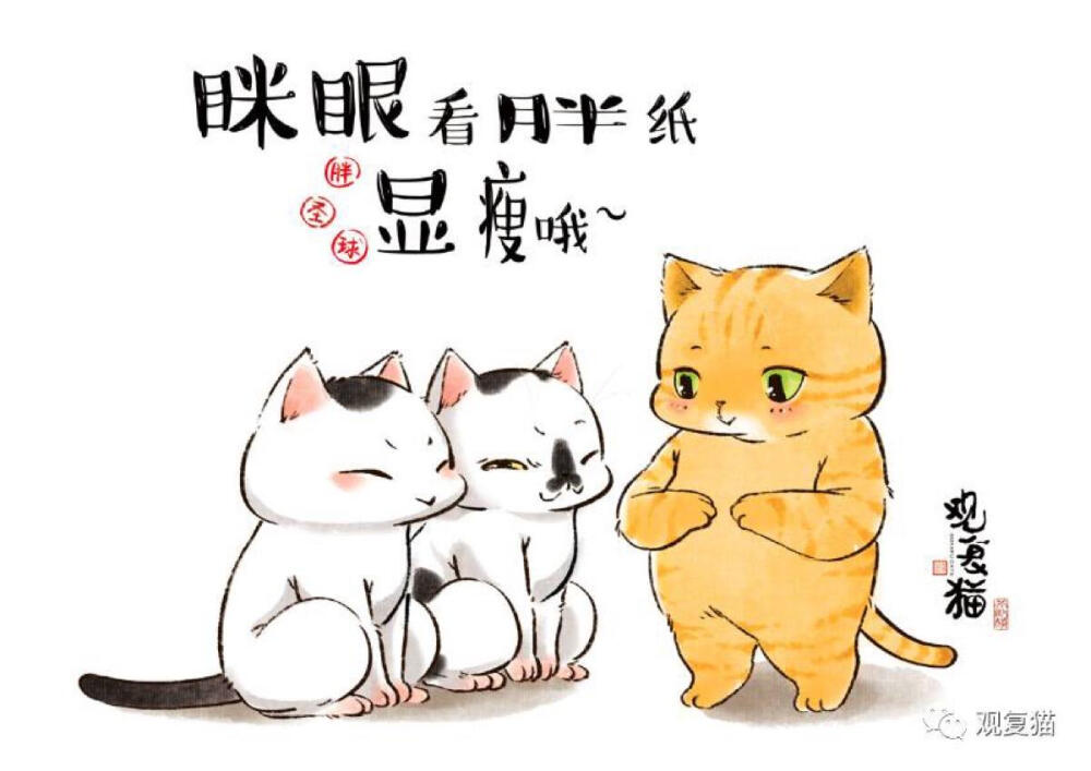 观复猫