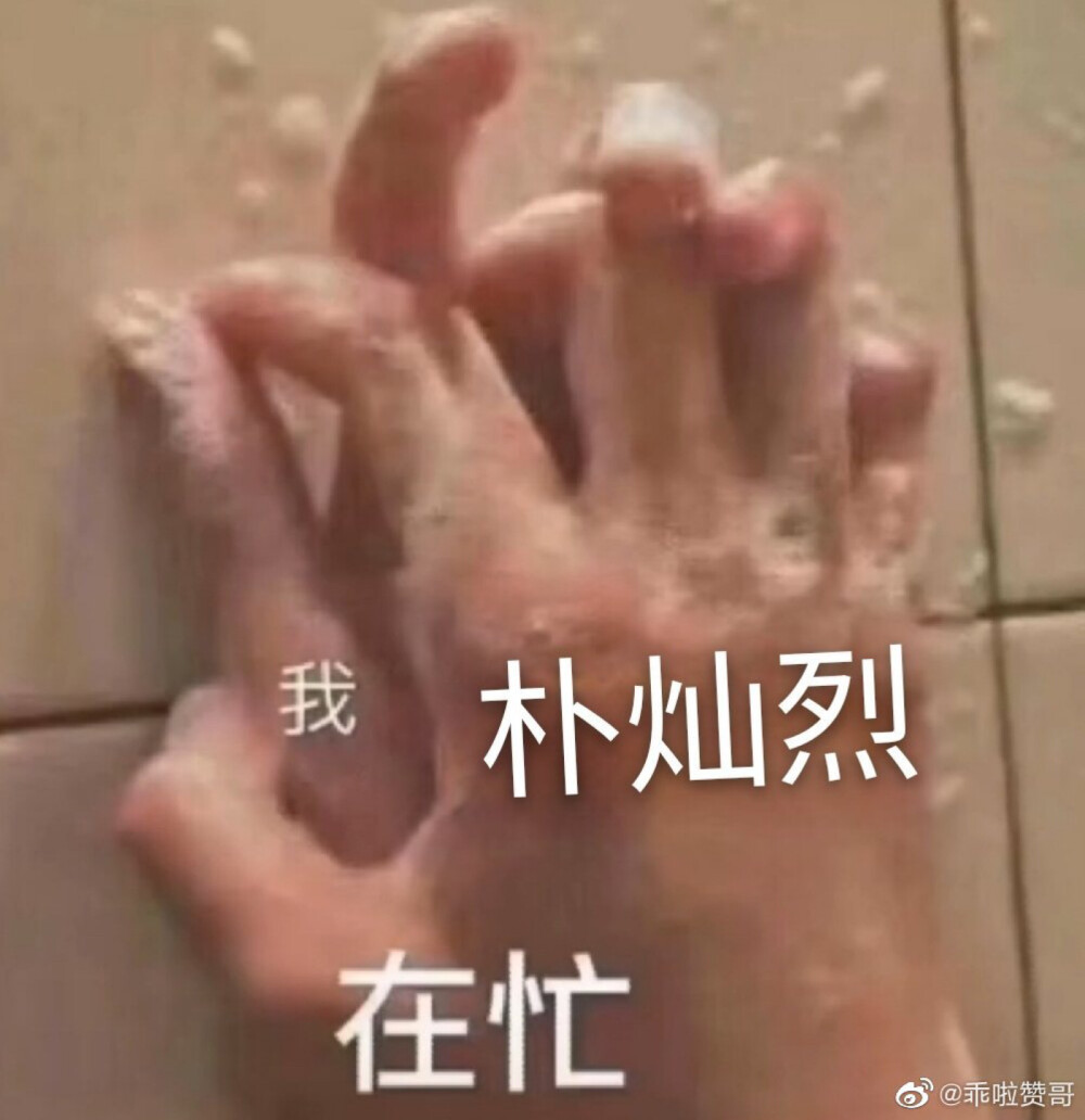 不要问 问就是在忙