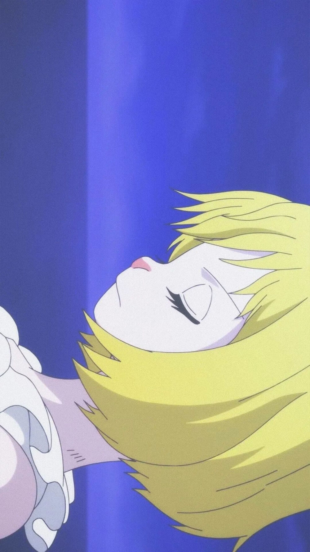 月狮! 最美不过加洛特!