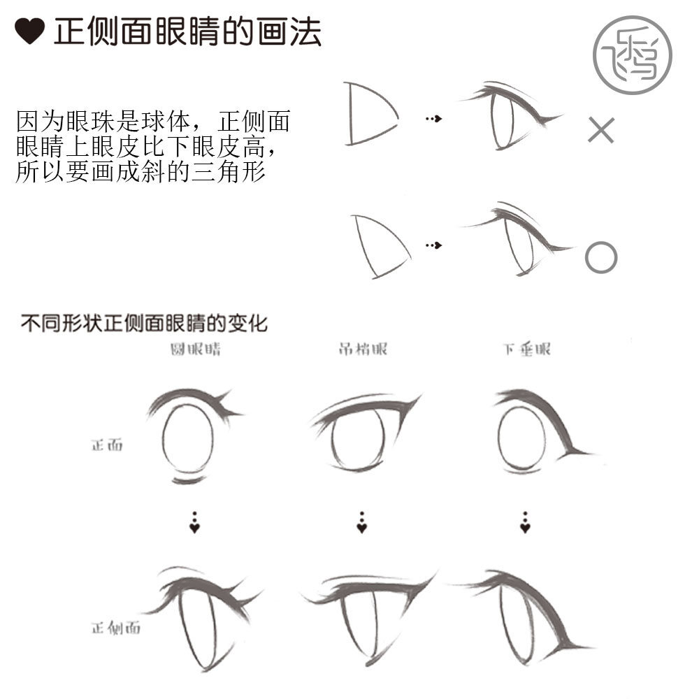 脸部眼睛正面侧面绘画教程