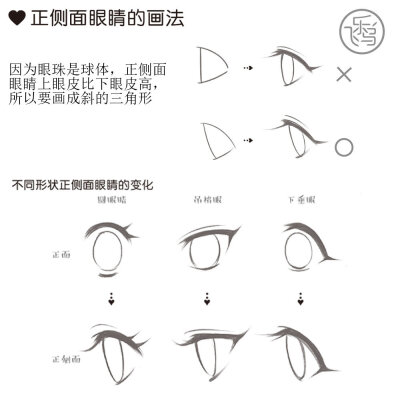 脸部眼睛正面侧面绘画教程