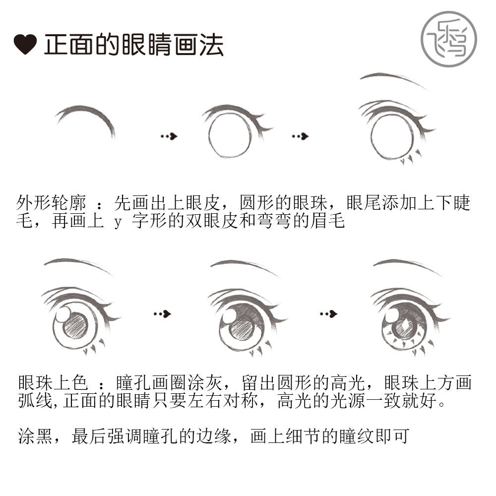 脸部眼睛正面侧面绘画教程