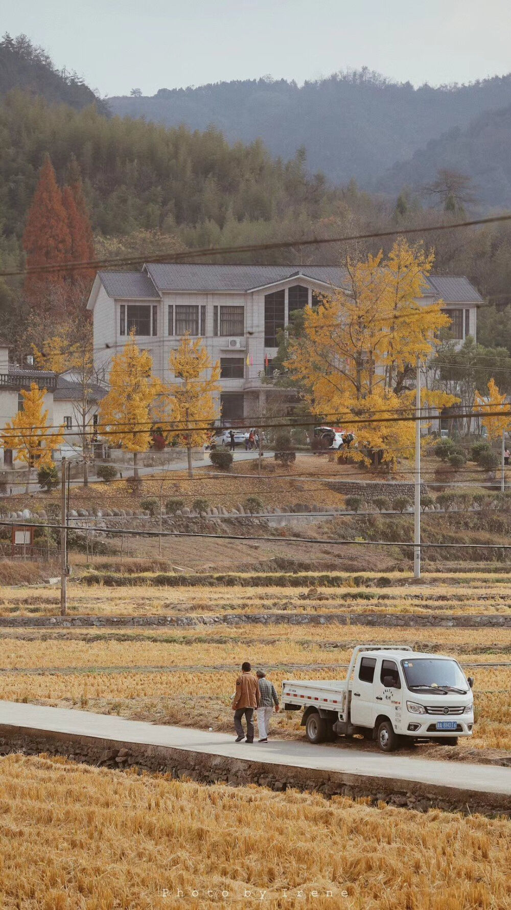 街道 房屋 风景 壁纸