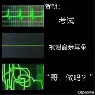 伪装学渣 谢俞 贺朝