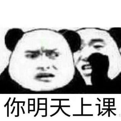 网课表情包