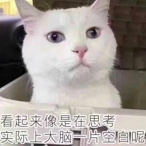 学习