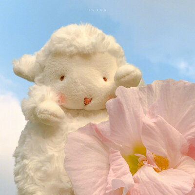 小绵羊!❤