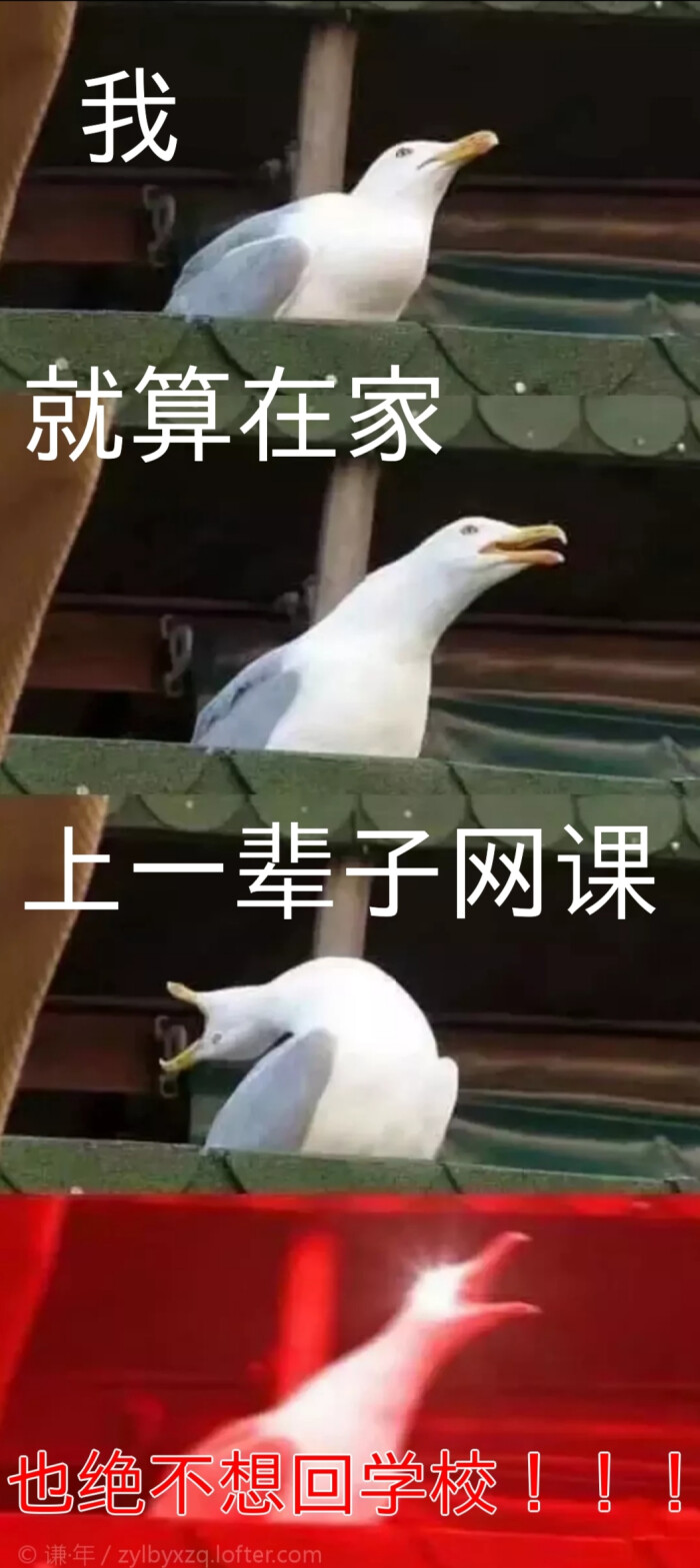 上网课 表情包