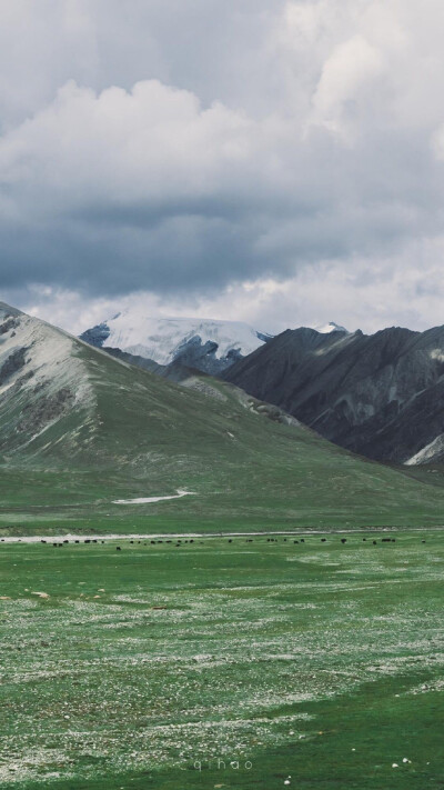 风景壁纸｜草原｜高山