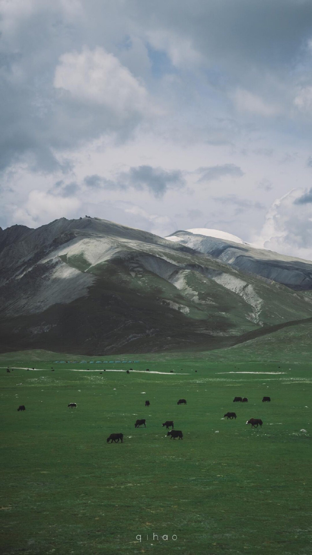 风景壁纸｜草原｜高山