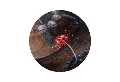 【中国百鬼】邪臣·相柳
...
“共工之臣曰相柳氏，九首，以食于九山。相柳之所抵，厥为泽溪...”
——《山海经·海外北经》
...
“共工臣名曰相繇，九首蛇身，自环，食于九土。其所歍所尼，即为源泽，不辛乃苦，百兽莫…