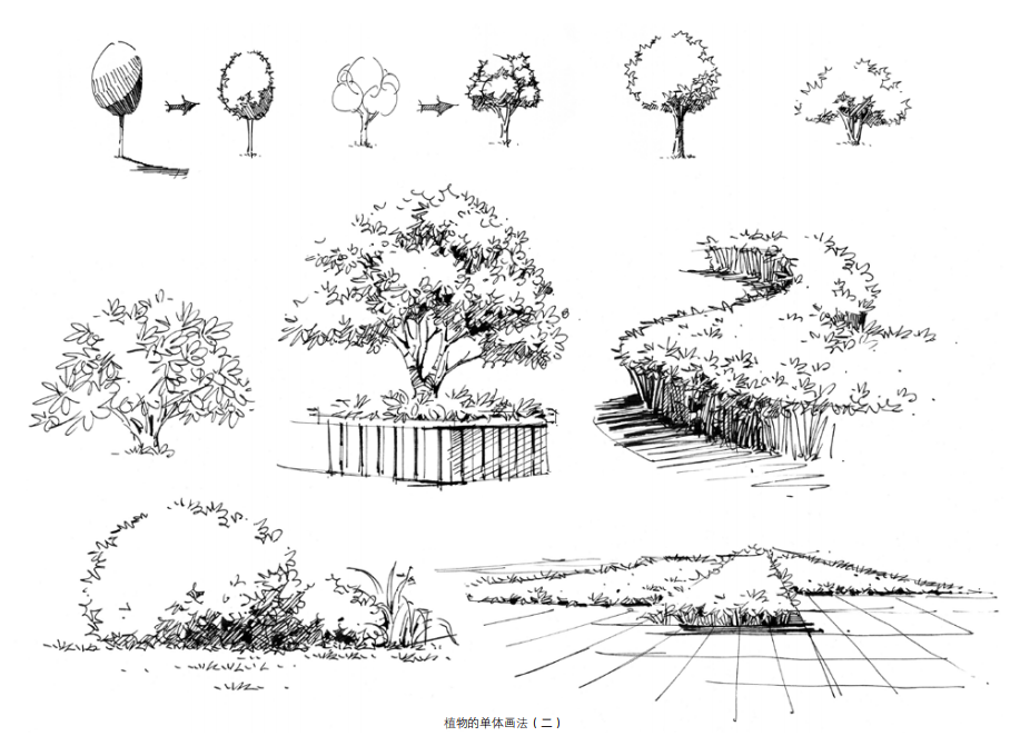 手绘练习 风景园林