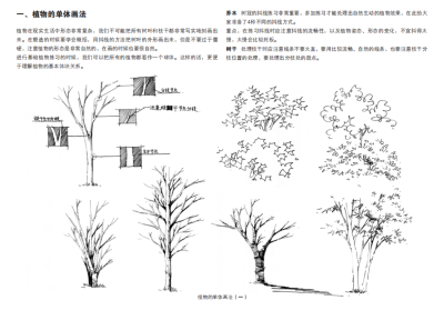 手绘练习 风景园林