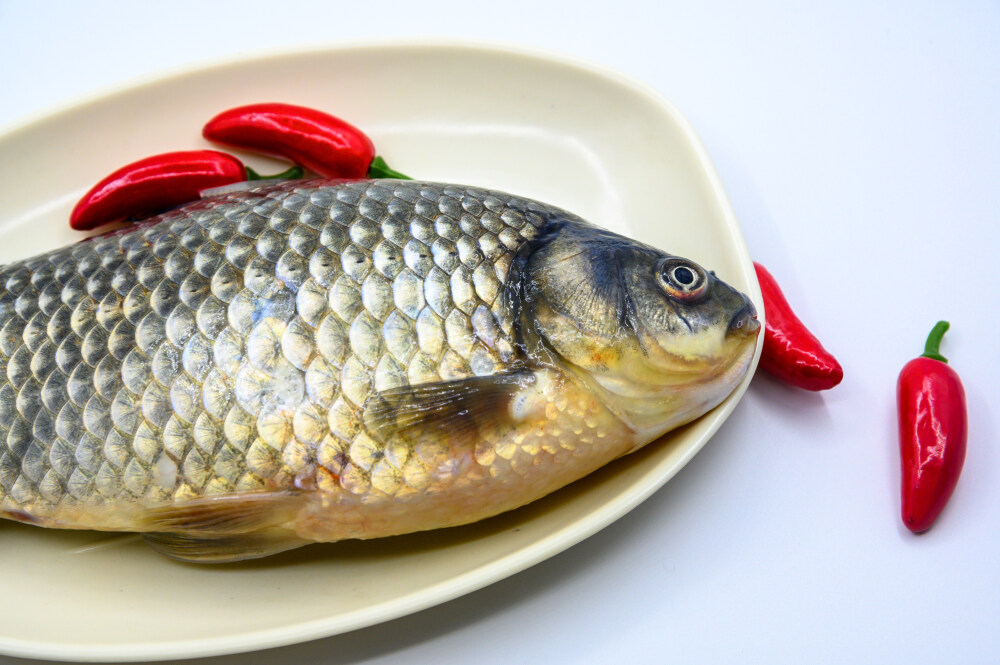 鲫鱼 生物 水生生物 水产品 海产品 鱼类 海鲜 狗杠鱼 推浪鱼 沙逛鱼 地龙鱼 天浪鱼 光鱼 海鱼 新鲜 动物 海洋动物 室内 食材 食物 待加工 烹饪 野生鱼 捕捞 特写 黑色背景 容器 简单背景 白瓷盘 瓷器 整条鱼 饮食 营养丰富 中国 葱 大葱 蒜 大蒜 辣椒 红色 辛辣 佐料 调料
