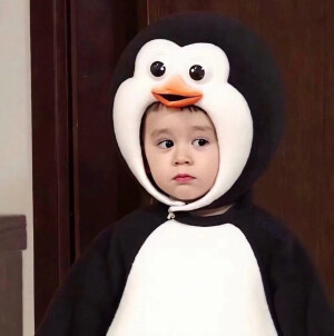 软妹 智障 搞怪 玩网 可爱 女头 情头 图源印