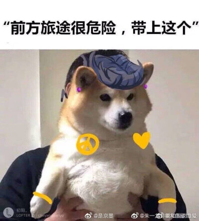 jojo的奇妙冒险