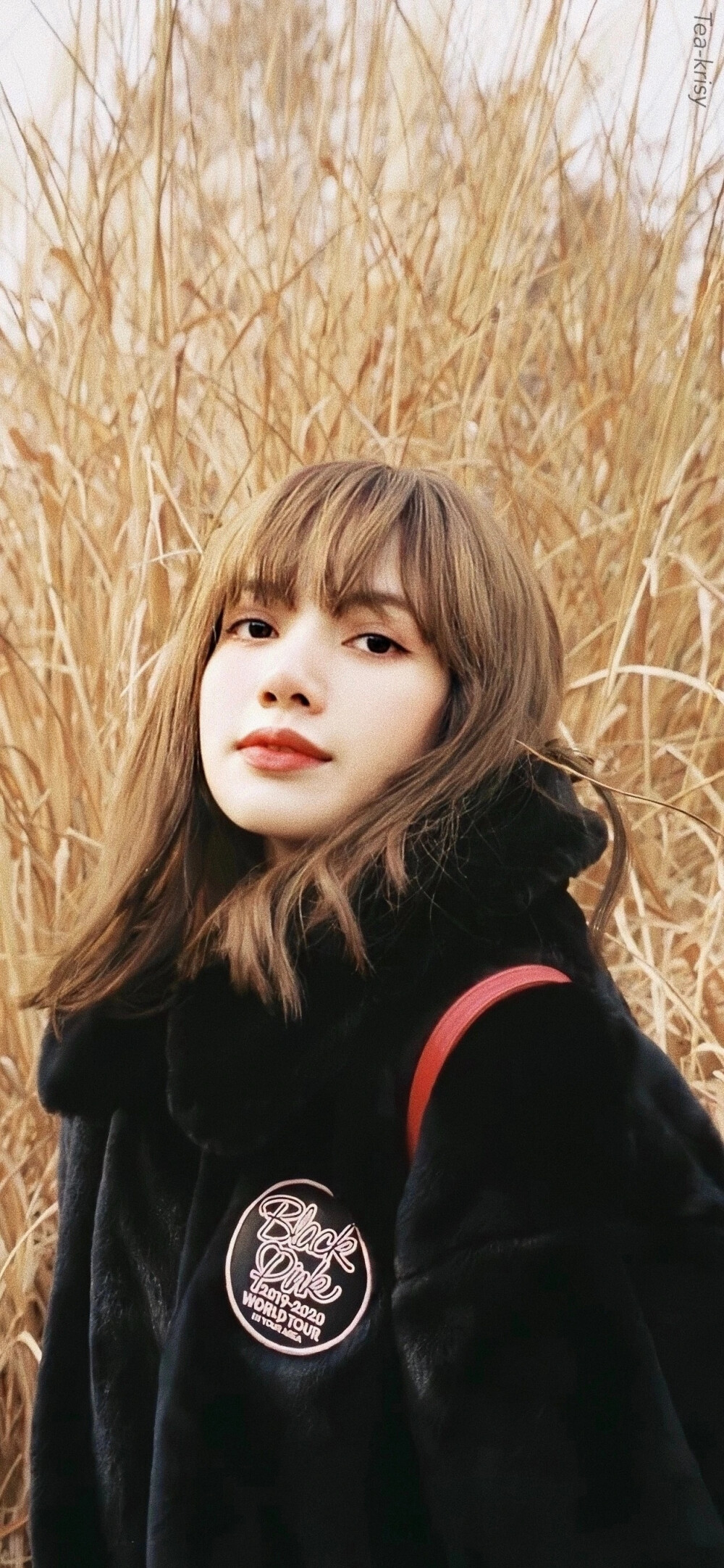 Lisa壁纸♡