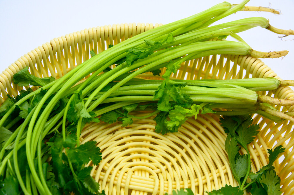 香菜 蔬菜 植物 綠色 綠葉菜 佐料 新鮮 生的 農作物 種植的 膳食纖維