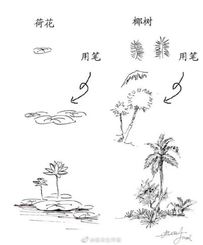 手绘植物