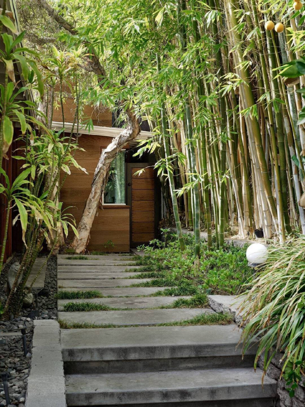 达妹Dakota Johnson登上《安邸AD》美版4月刊封面，拍摄于达妹在洛杉矶的家。绿植环绕、简约复古，家装风格如同达妹本人一样令人感觉温柔舒适。 ​​​