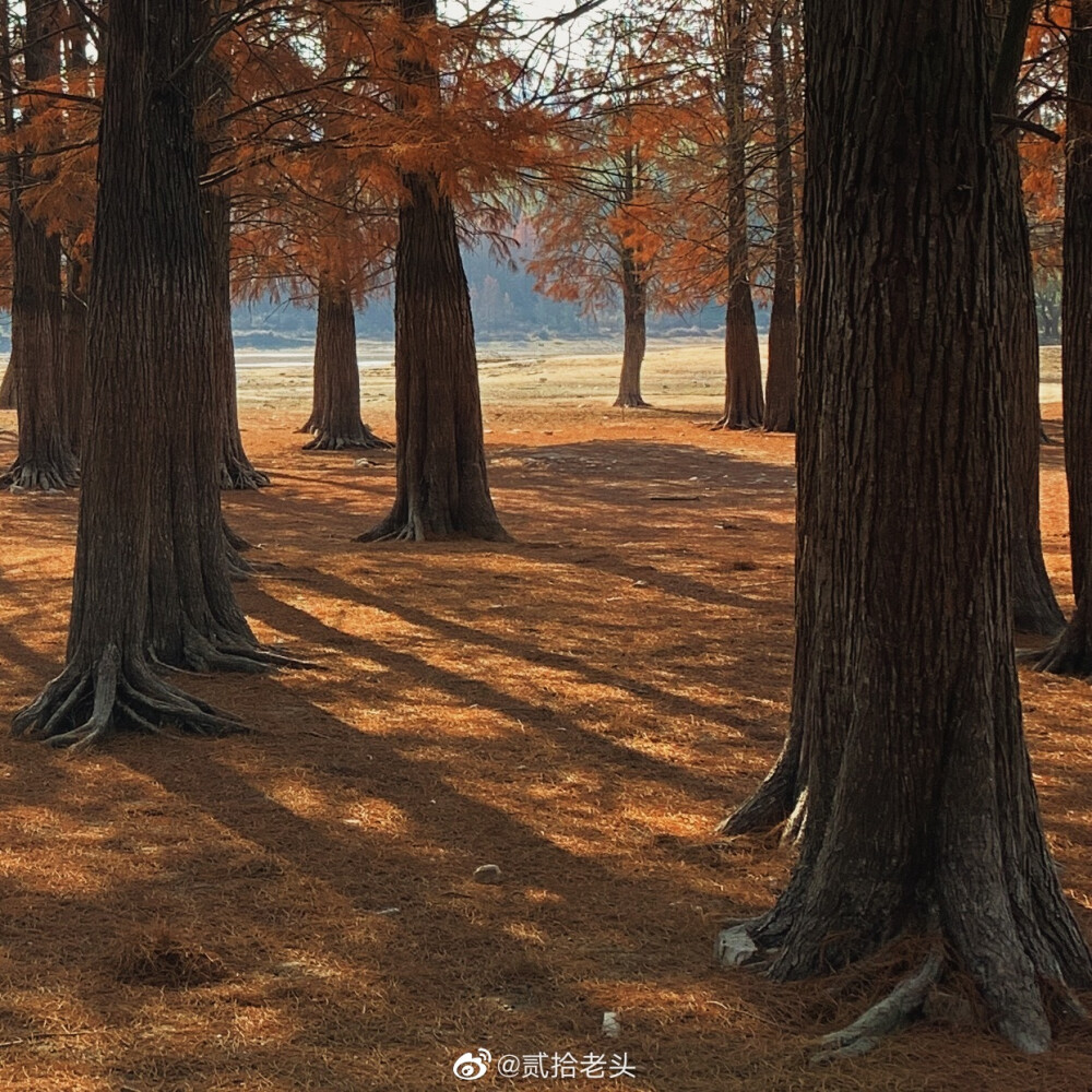 键盘壁纸 搬运 wb 贰拾老头