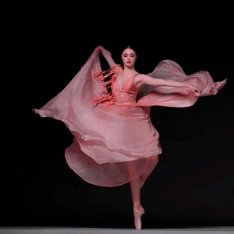 绝美 谁能留住花朵绽开的每一瞬间 摄影师niv novak拍摄的慢动作镜头