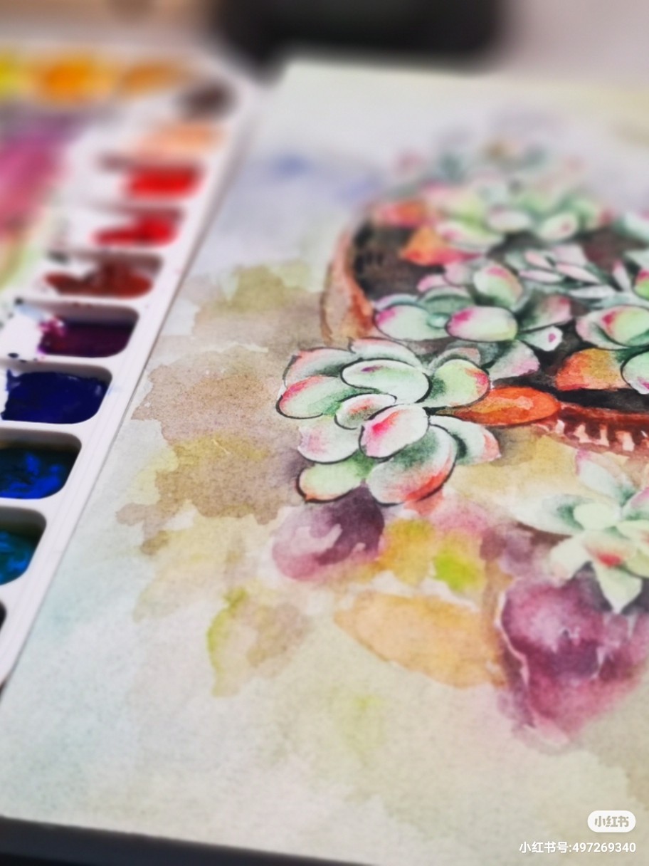 万象花卉的多肉拍来就有素材画啦，今天没白过