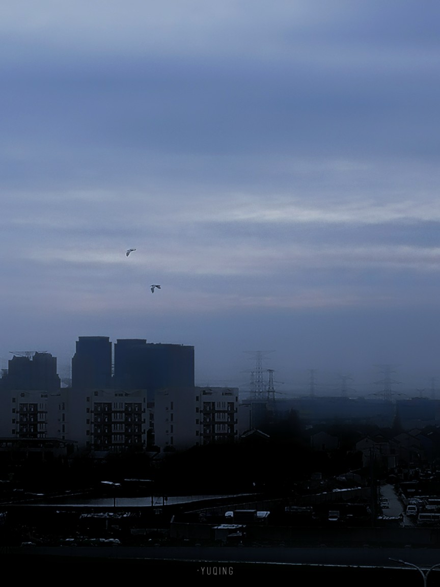 "夜晚潮湿 地面潮湿 空气寂静 树林沉默" ​​