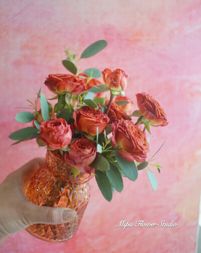 ♡
Let life be beautiful like summer flowers and death like autumn leaves.
生如夏花之绚烂，死如秋叶之静美。
图片来自网络，侵权删