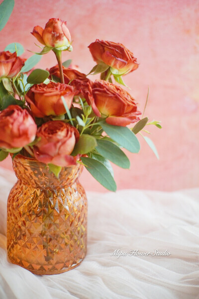 ♡
Let life be beautiful like summer flowers and death like autumn leaves.
生如夏花之绚烂，死如秋叶之静美。
图片来自网络，侵权删