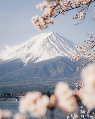 背景