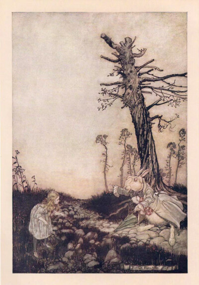 .
童话插画绘本，《爱丽丝梦游仙境》
英国插画家 Arthur Rackham
.