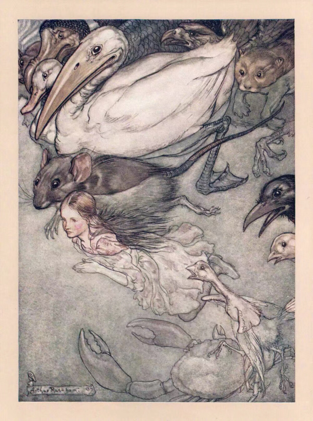 .
童话插画绘本，《爱丽丝梦游仙境》
英国插画家 Arthur Rackham
.