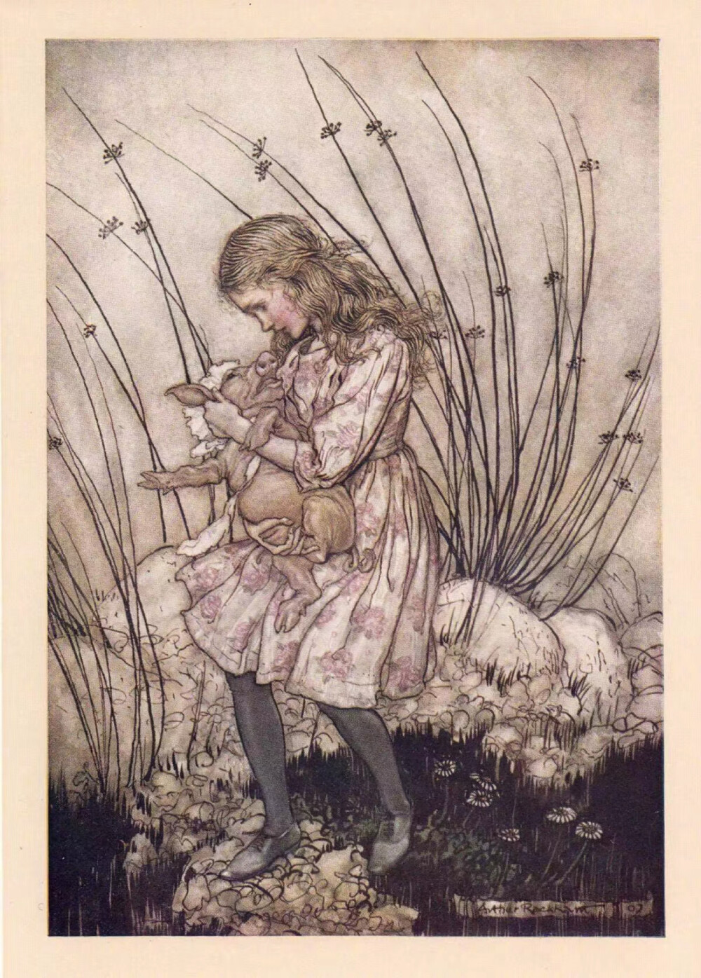 .
童话插画绘本，《爱丽丝梦游仙境》
英国插画家 Arthur Rackham
.