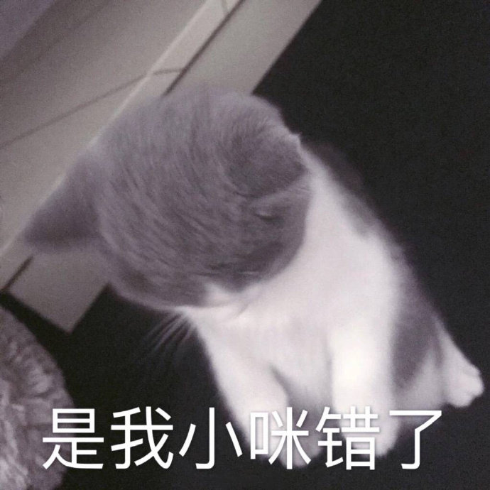 萌宠 猫咪 表情包