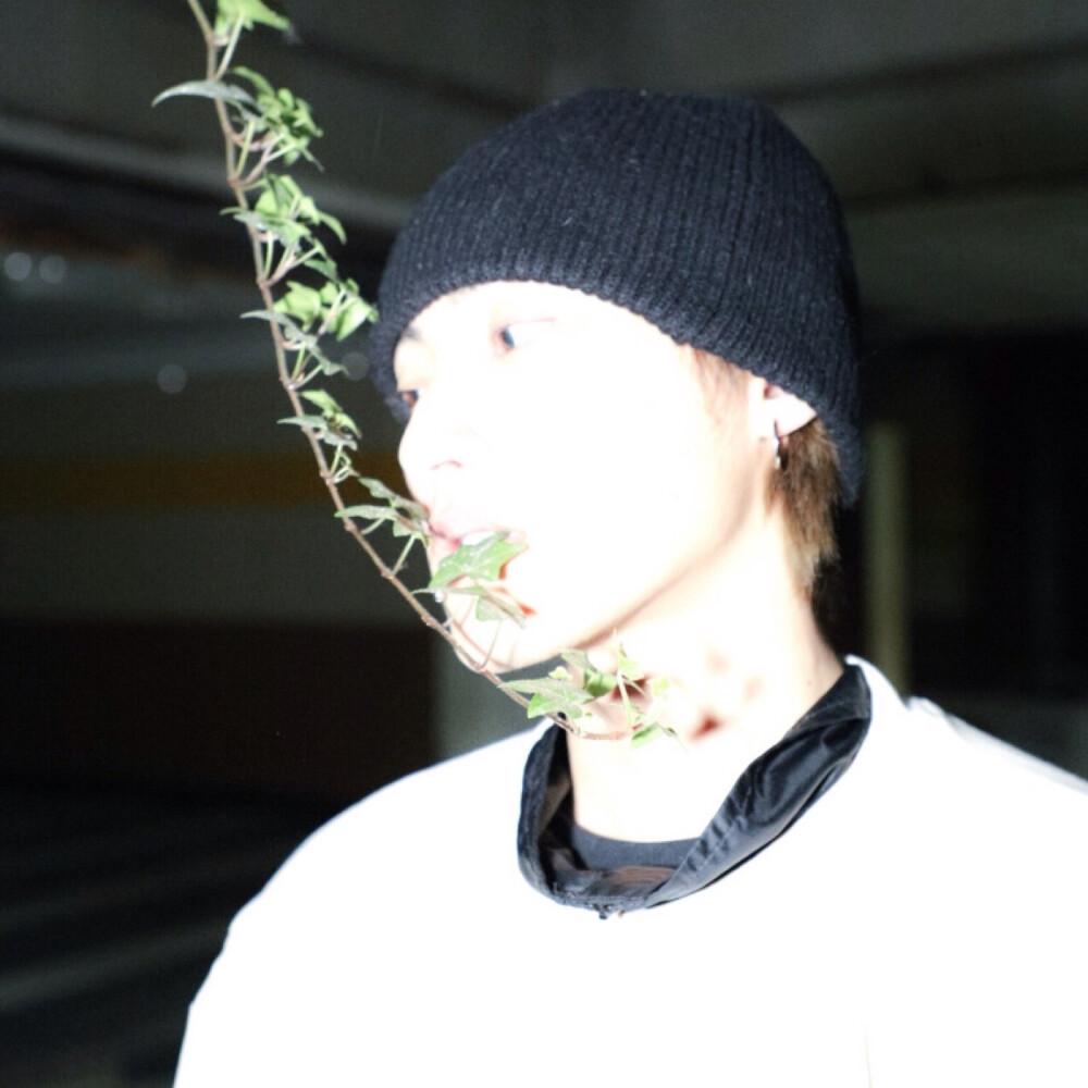 всё опять начинается